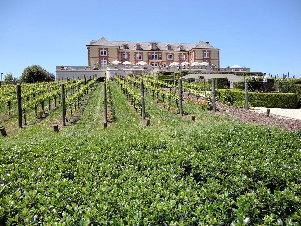 Sonoma Valley Transportation in San Francisco, CA