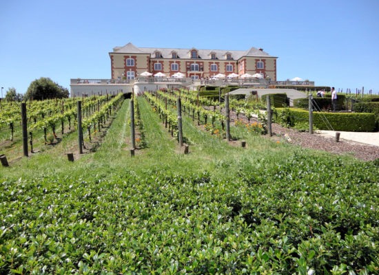 Sonoma Valley Transportation in San Francisco, CA