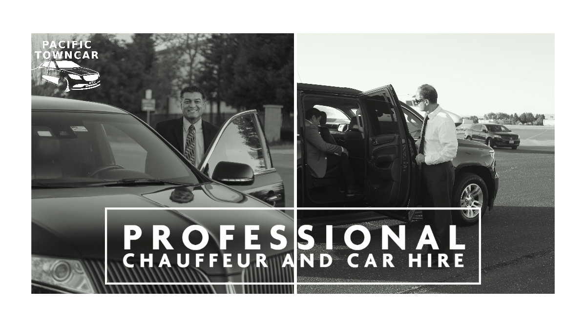 Professional chauffeur and Car hire
